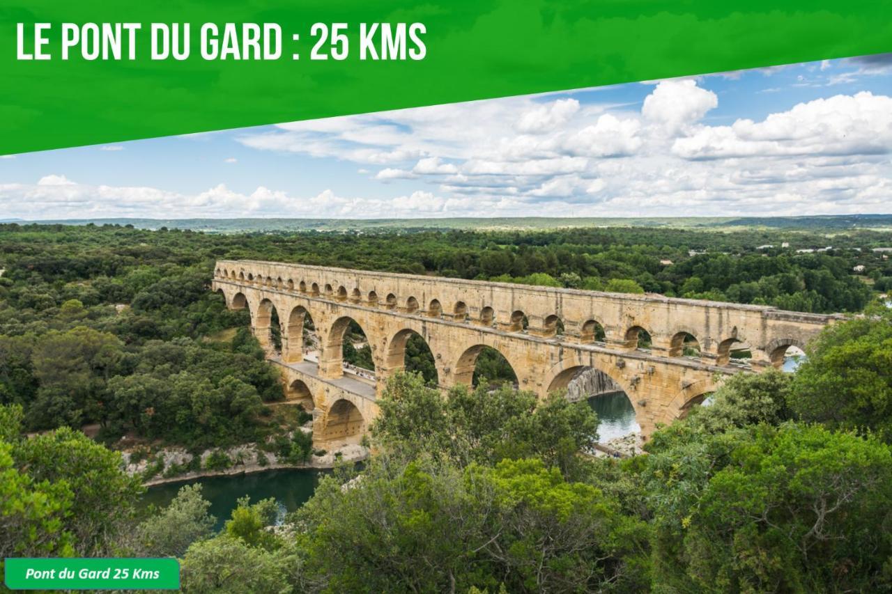Appartement La Bulle - 3 Min Palais Des Papes - Clim Ac - Wifi Avignon